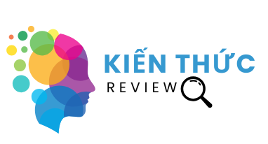 Kiến Thức Review
